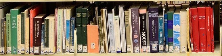 Nuit des bibliothèques