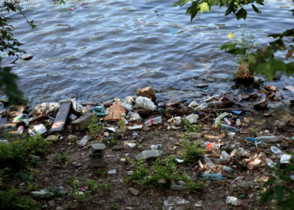 Nettoyage des berges de Seine