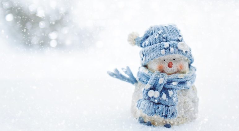 Vos bonhommes de neige en ligne !