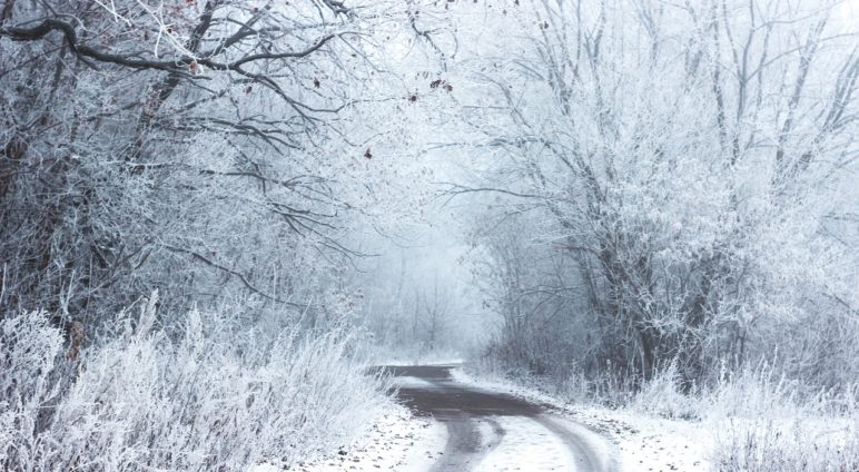 Vigilance Neige & Verglas : perturbation dans les transports scolaires
