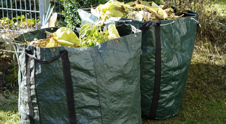 Ramassage des déchets verts