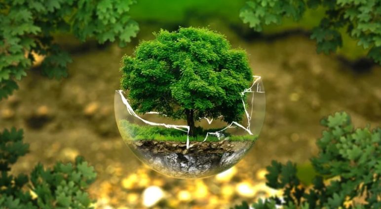 INFORMATIONS ENVIRONNEMENT – LES GESTES ECO-RESPONSABLES