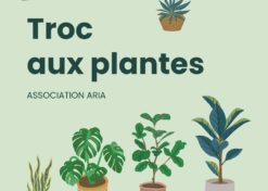 Troc aux plantes par l’association ARIA