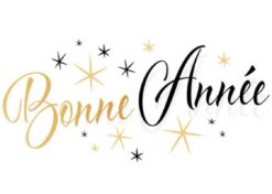 Voeux de Madame la Maire